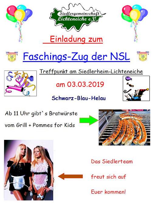 Faschingsumzug Siedler 2019